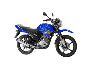 1615113130bike.jpg