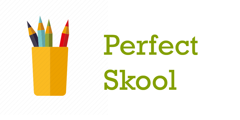 PerfectSkool investment packages